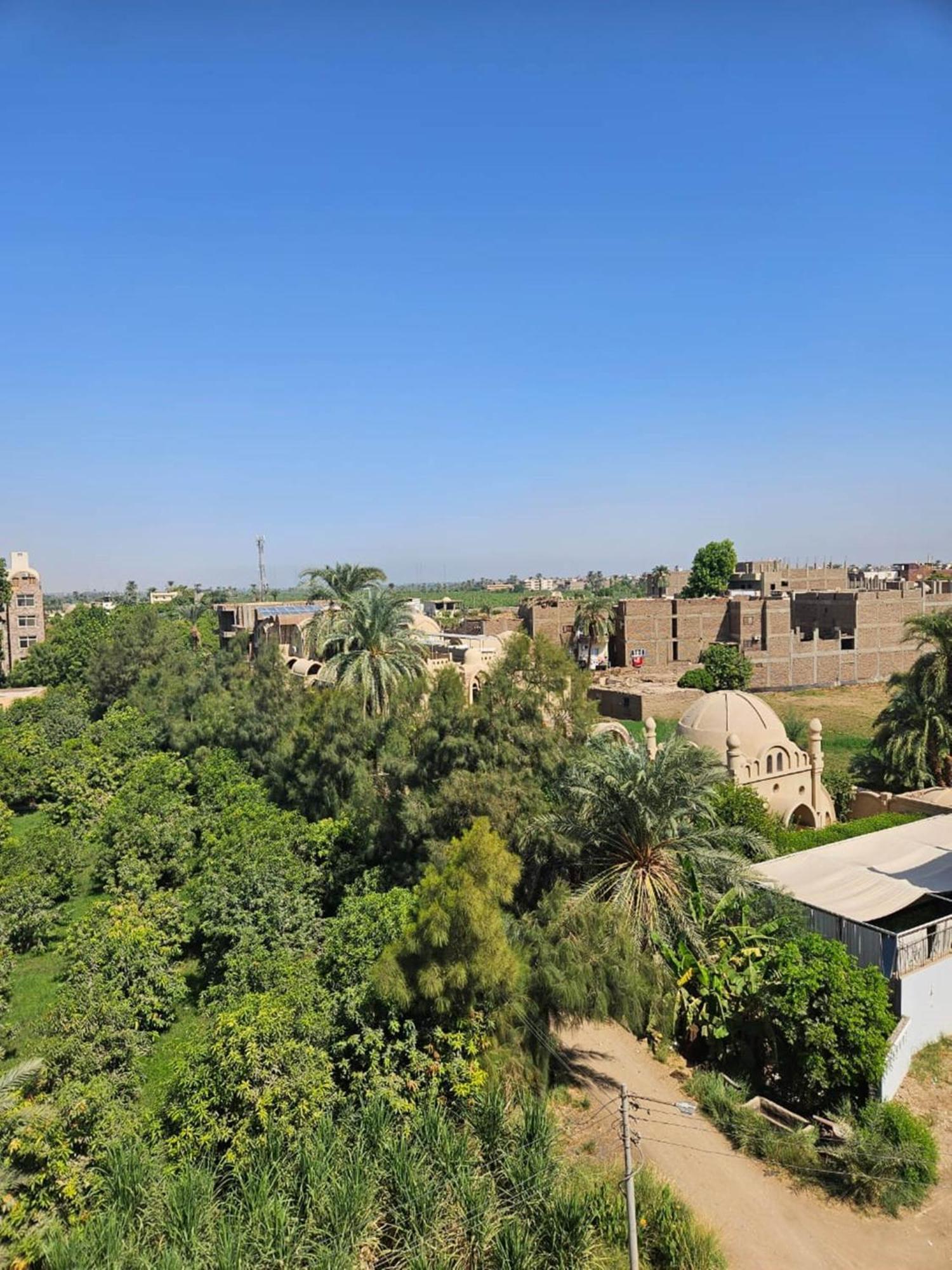 Egypt Villa Garden Louxor Extérieur photo