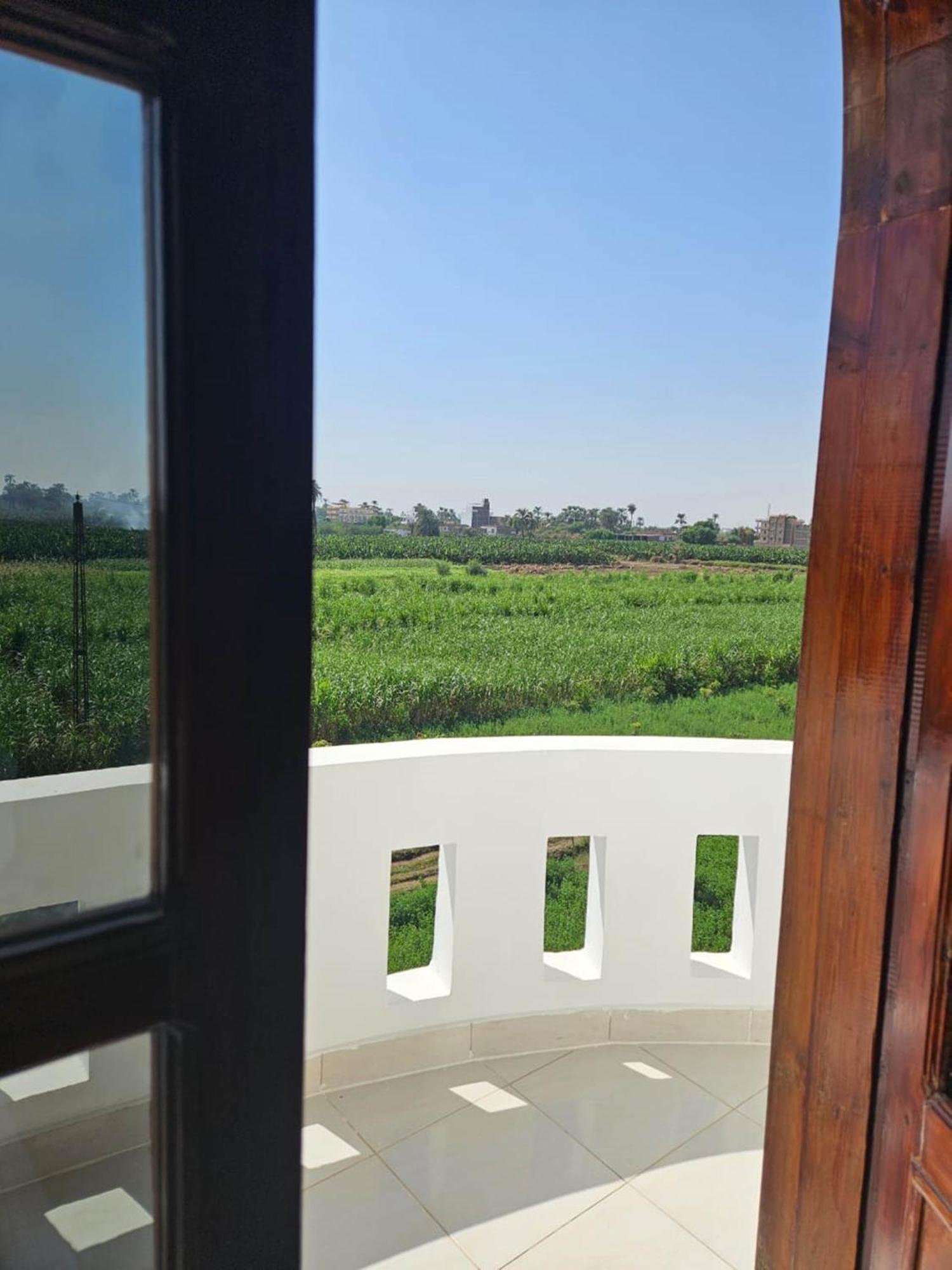 Egypt Villa Garden Louxor Extérieur photo