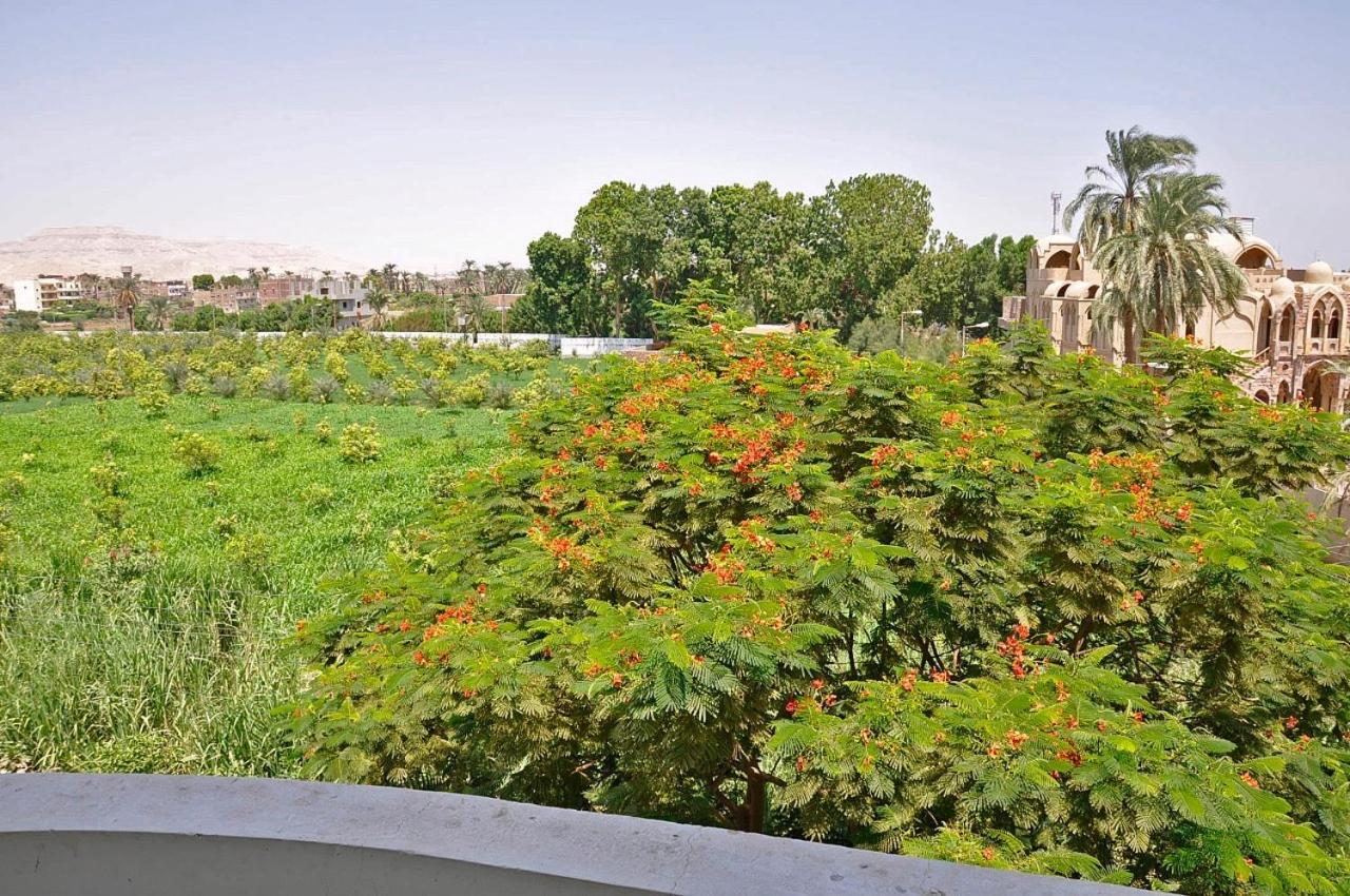 Egypt Villa Garden Louxor Extérieur photo